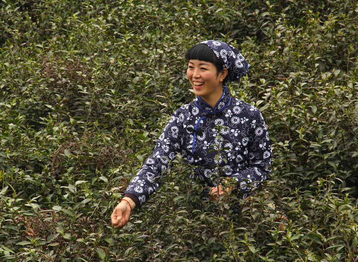 百丽直播 热门5